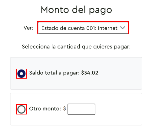 imagen de la sección Monto del pago