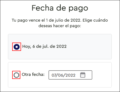 imagen de la sección Fecha de pago